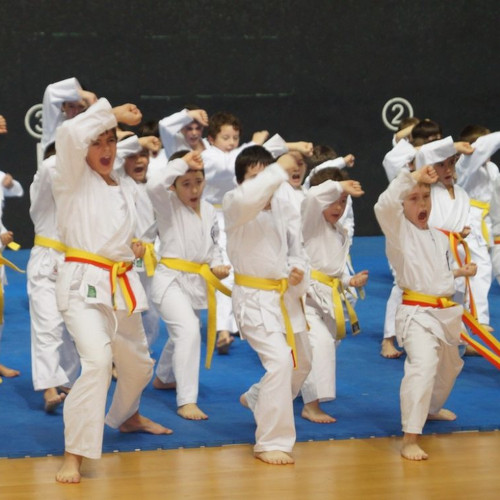 Karate